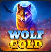 Wolf Gold
